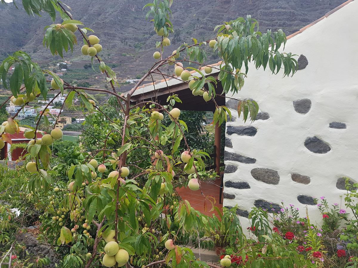 Casa Rural Las Nuevitas I Hermigua Exterior foto